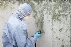 Biohazard Mold Removal in Bear, DE